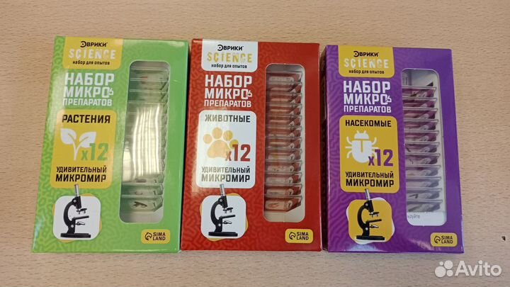 Предметные стекла