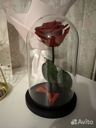 Роза в колбе