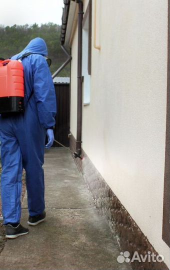 Средство для Уничтожения клопов, тараканов, крыс Дезинфекции