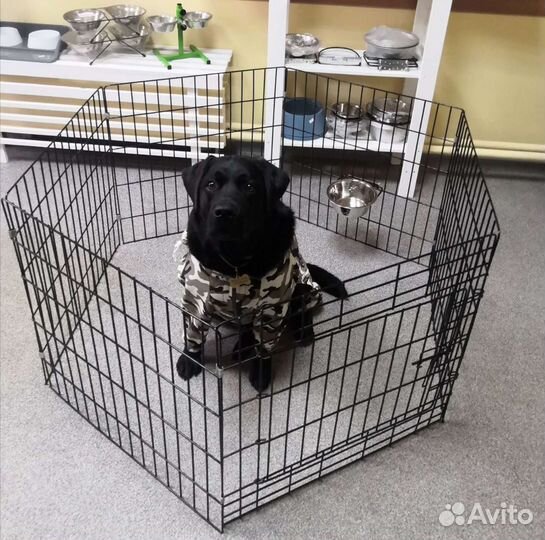 Вольер 6 секций с дверью