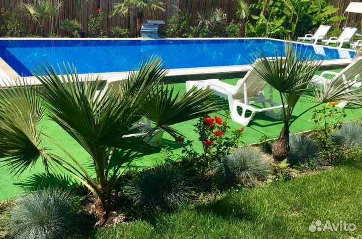 Отдых на черном море