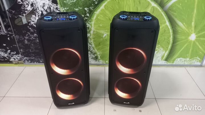 Акустическая система Eltronic 20-56 (3000 Ватт)