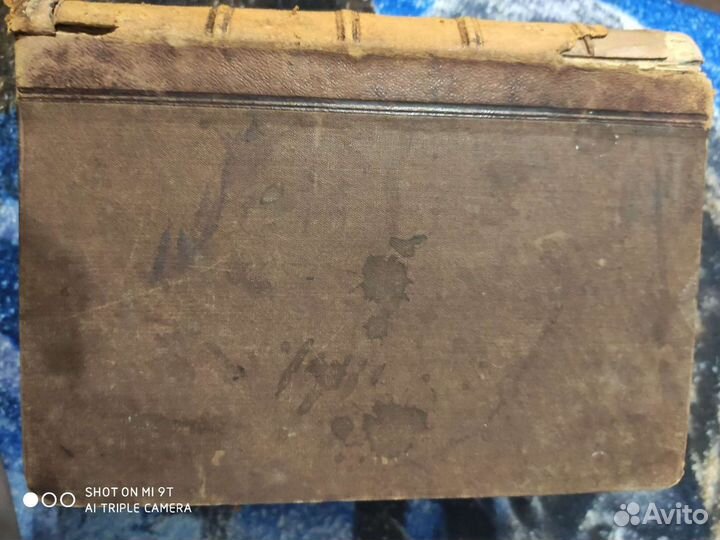 Лесъ сочинение А.Россмеслера 1866г