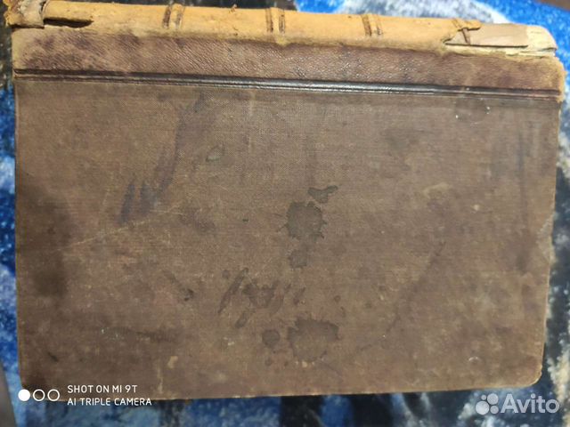 Лесъ сочинение А.Россмеслера 1866г