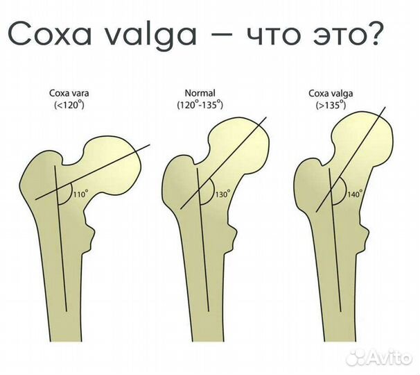 Красота и здоровье
