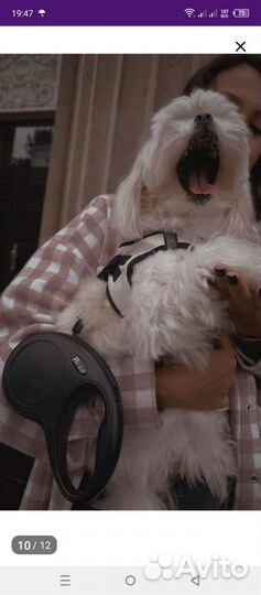 Поводок рулетка для собак 5 м