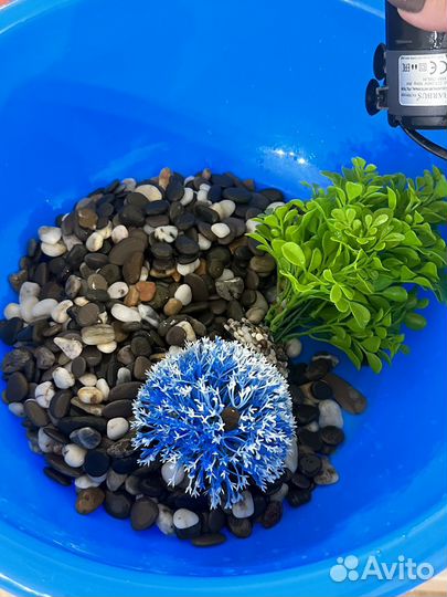 Аквариум, фильтр, компрессор