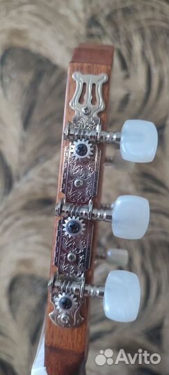 Классическая гитара Cort AC100