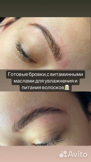 Мастер бровист