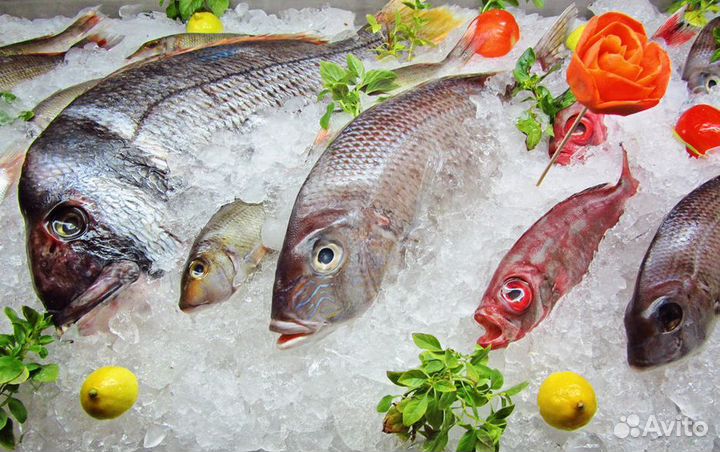 Франшиза: доход с первого дня