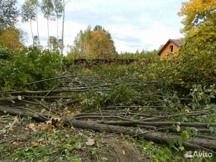 Расчистка земельного участка,трасс газопровода