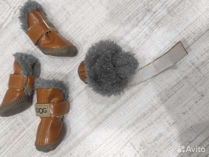 Новые ботинки для мелких пород собак