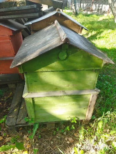 Ульи для пчел рута