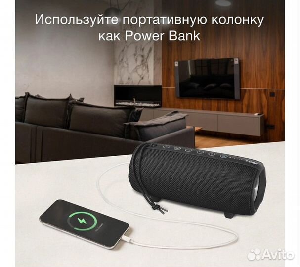 Портативная колонка Hyundai H-PAC340, черный 20W