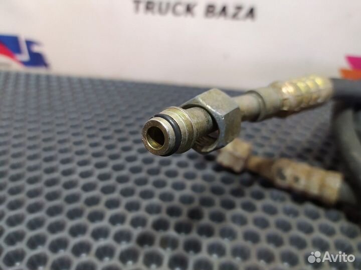 Шланг сцепления Daf 95XF, Daf XF105