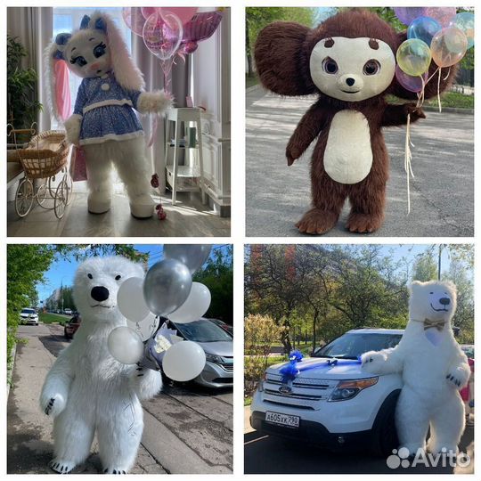 Розы Цветы Букеты 25 51 101