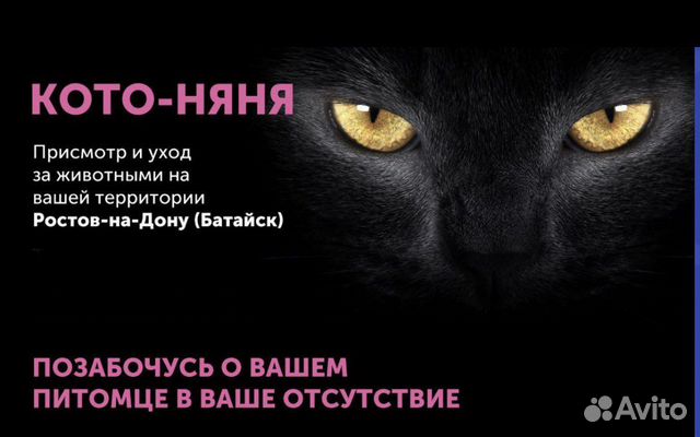 Зооняня, котоняня, кото-няня. присмотр за котами