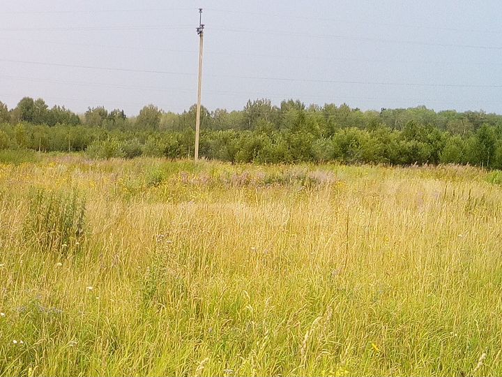 Участок 15 сот. (СНТ, ДНП)