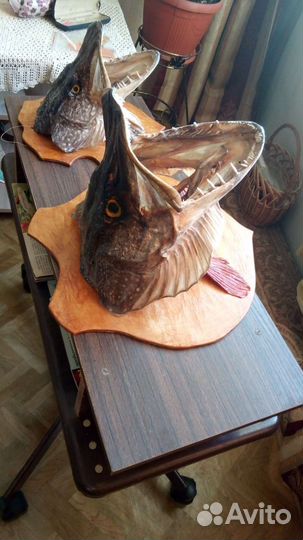 Чучело щуки