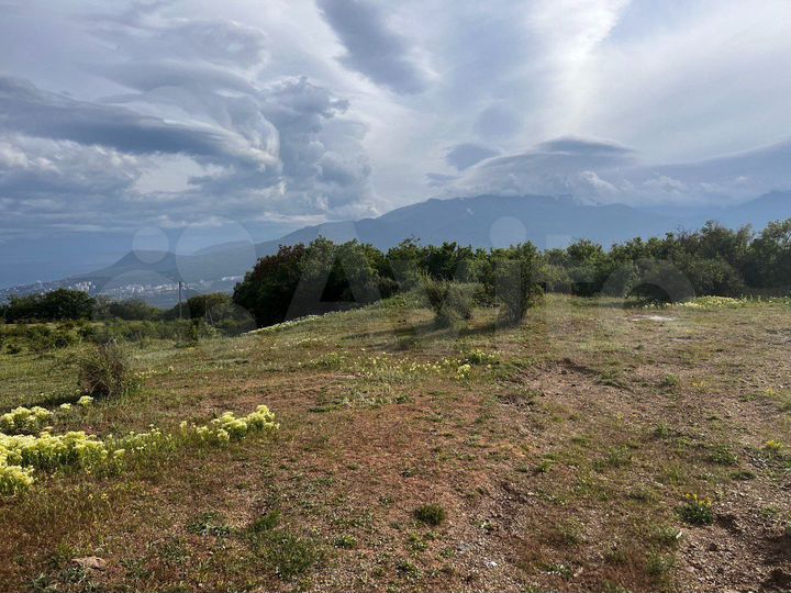 Участок 1,23 га (ИЖС)