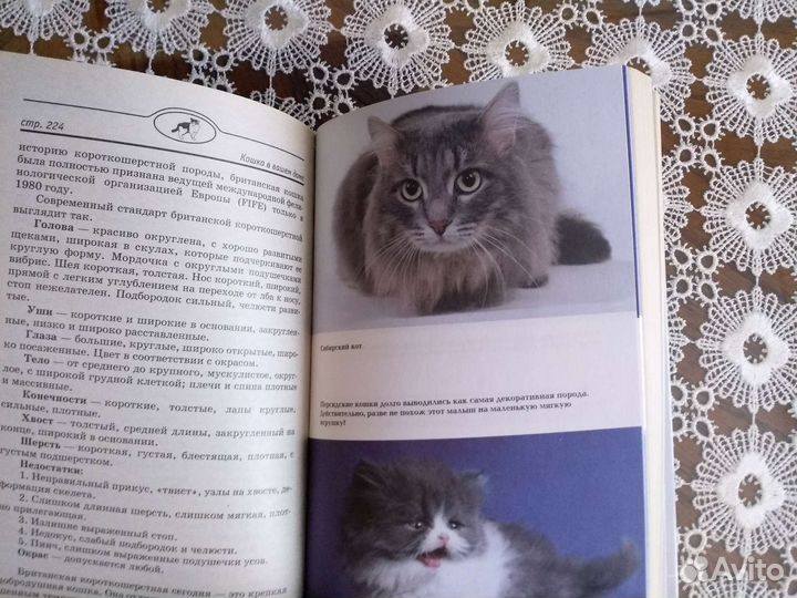 Книги собака, кошка в вашем доме