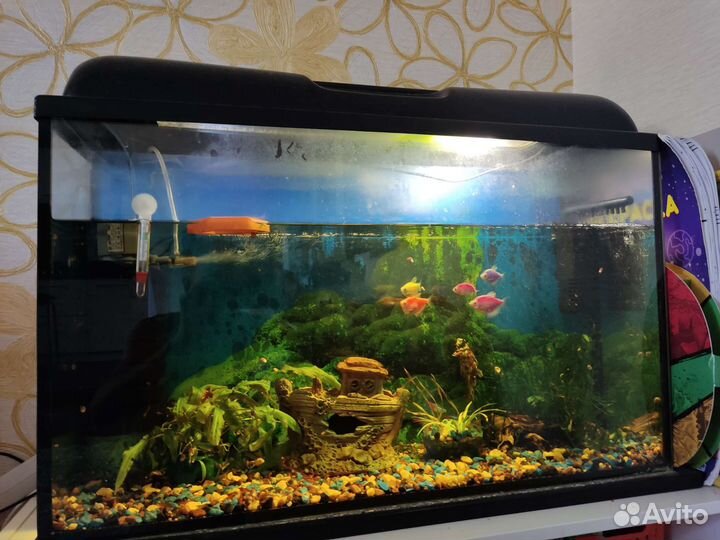Аквариум