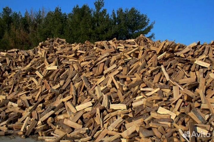 Дрова в СПБ