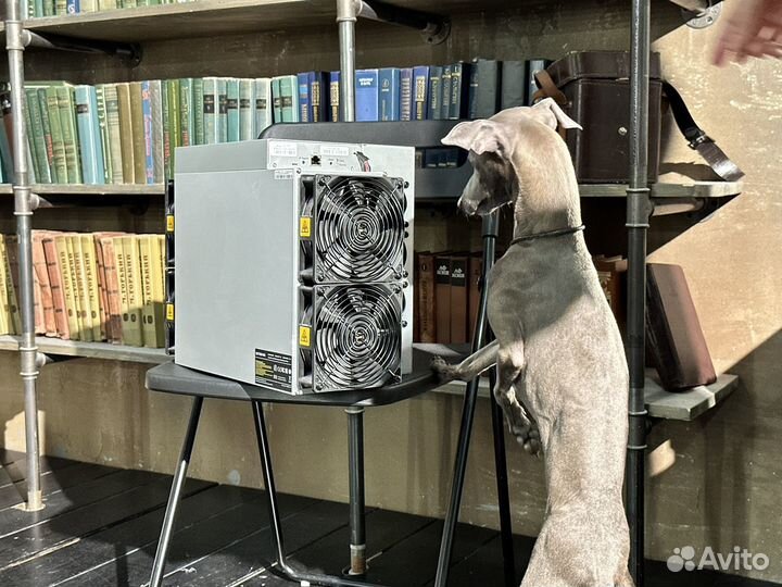 Новый AntMiner T21 190 Th/s привлекательный