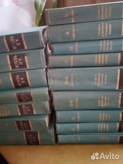 Сочинение классиков,Некрасов,Гоголь,Бунин,Турге