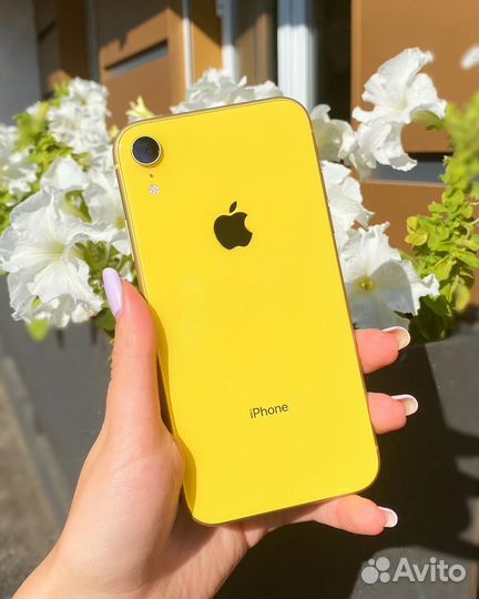 iPhone Xr, 256 ГБ