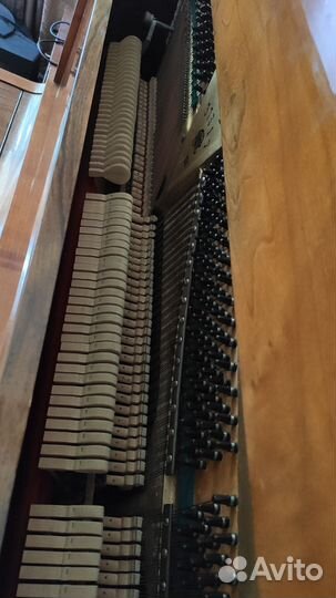 Фортепиано Кубань Пианино