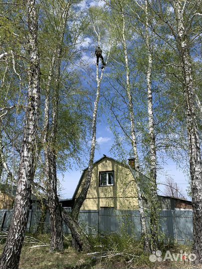 Спил деревьев, кронирование, корчевание, вывоз