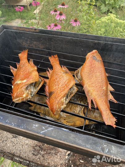 Коптильня горячего копчения на века 3мм 50х30х30