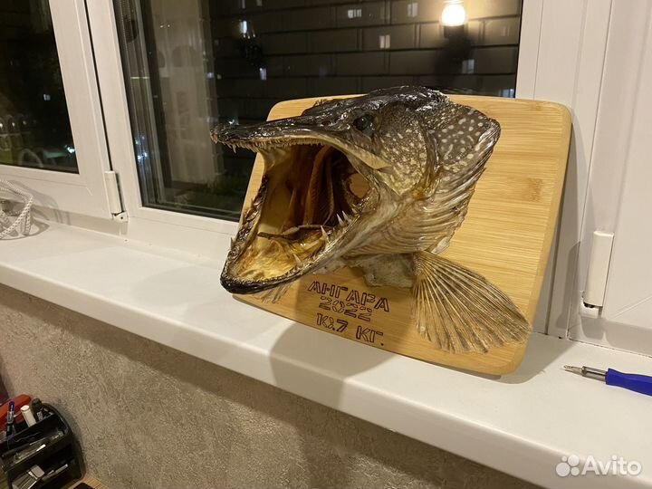 Изготовление чучела Щуки