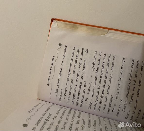 Книга Дело о невидимке Фрауке Шойнеманн