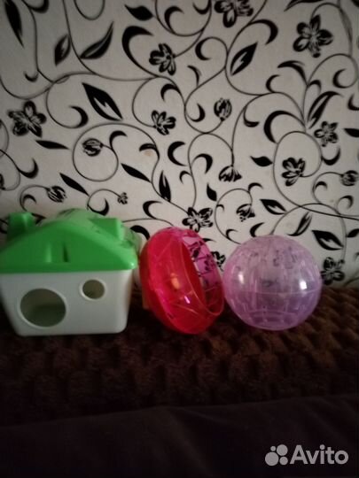 Аксессуары для грызунов