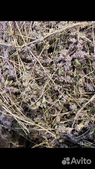 Чабрец, Иван чай