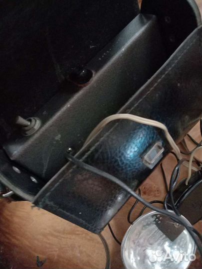 Фотовспышка чайка