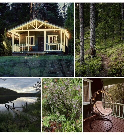 Дача 50 м² на участке 50 сот.