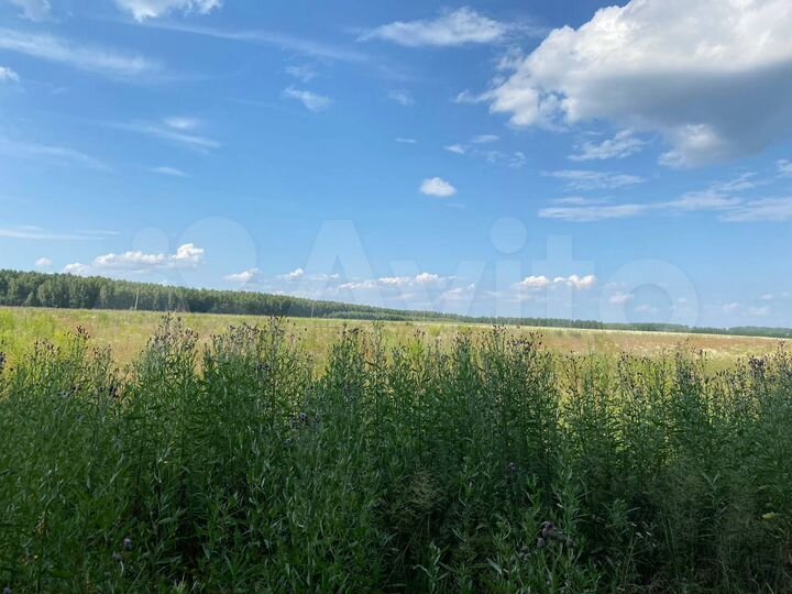 Участок 5 га (СНТ, ДНП)