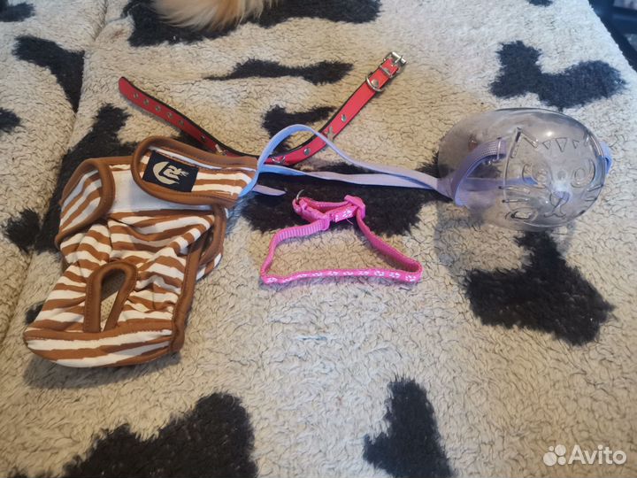 Для кошечек, собачек