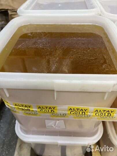 Натуральный свежий мед цветочный оптом