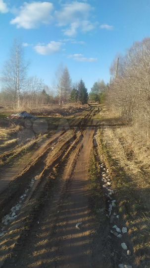 Участок 15 сот. (ИЖС)