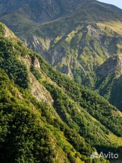 Тур Дагестан 5 дней