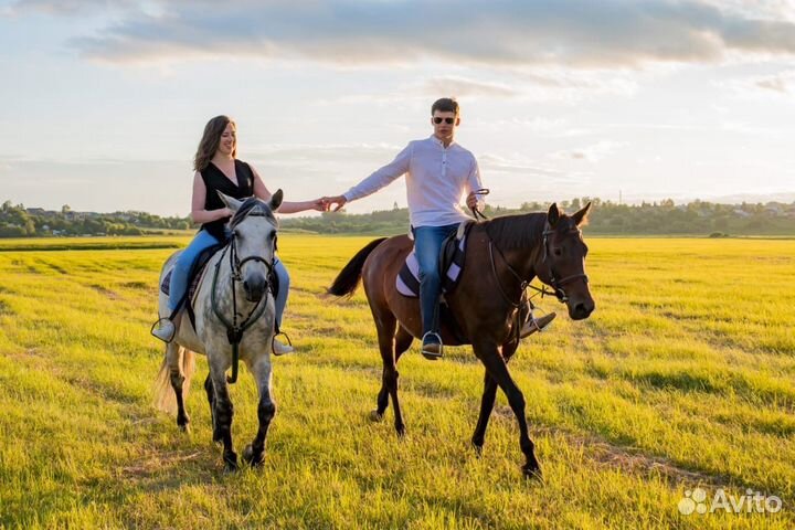 Верховая езда/конные прогулки/обучение/фотосессии