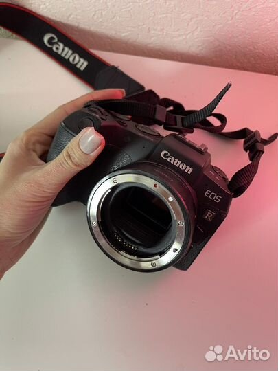 Canon eos rp body
