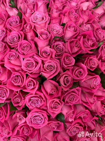 Розы оптом и в розницу - цветы и букеты