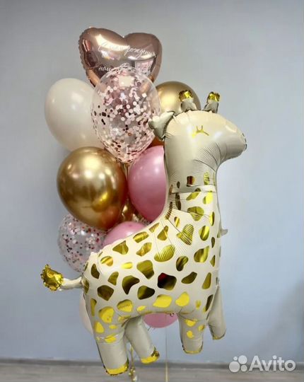 Воздушные шары Академгородок