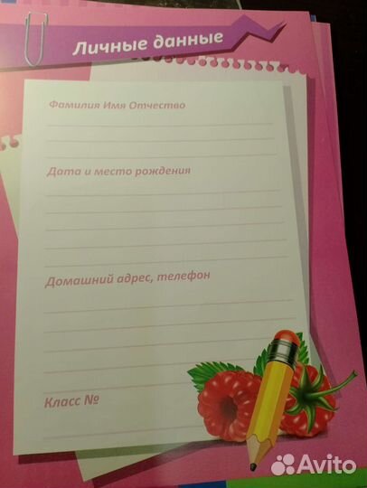 Портфолио ученицы начальных классов