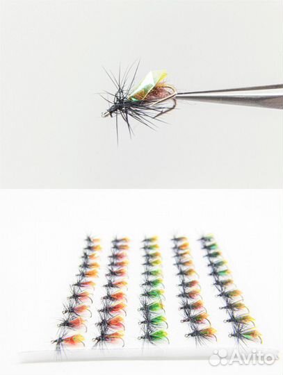 Муха верховая на двойникеПопугай голографический